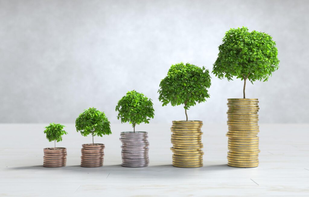 Wealth creation through property linked growth showing steady value appreciation over time